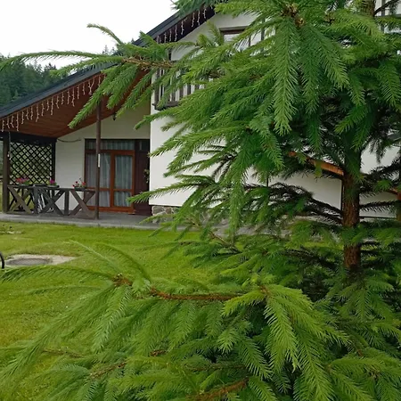 U Anastasii I Sofii Bilya Richki Kır Evi Mykulychyn