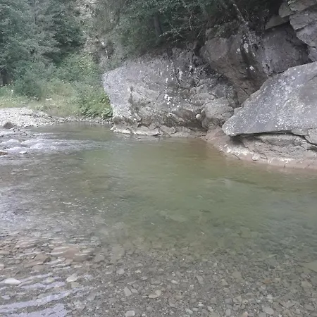 Летний дом U Anastasii I Sofii Bilya Richki