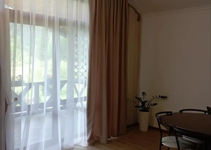Séjour à la campagne U Anastasii I Sofii Bilya Richki *